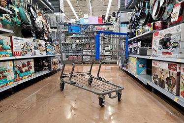 Shopping cart at Waynesboro, Pennsylvania Walmart [01]