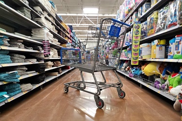 Shopping cart at Waynesboro, Pennsylvania Walmart [02]