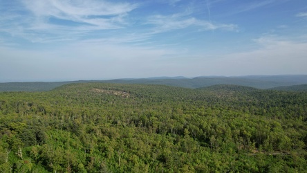 Aerial view of Michaux State Forest [02]