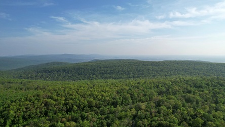 Aerial view of Michaux State Forest [03]