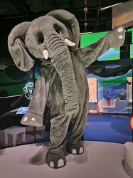 Elephant costume from Sharon, Lois, and Bram’s Elephant Show