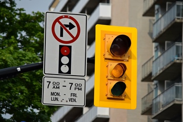 Traffic signal at Elgin and Somerset Streets [04]