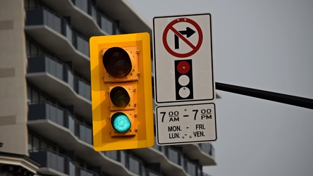 Traffic signal at Elgin and Somerset Streets [05]