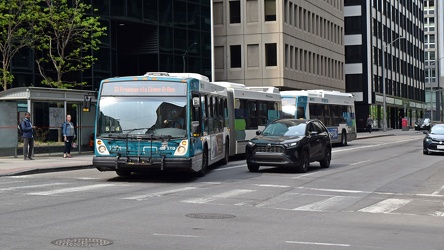 STO bus 1221 and 1502 at Albert and Metcalfe Streets