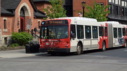 OC Transpo bus 6597 on Elgin Street