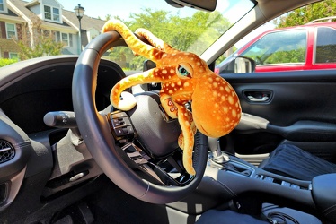 Woomy hangs onto the steering wheel