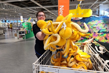 Elyse holds up a clump of BLÅVINGAD octopus plushes