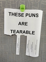 "THESE PUNS ARE TEARABLE"