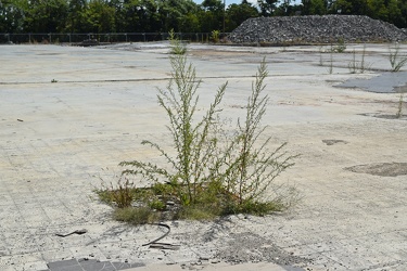 Former Staunton Mall site, September 2023 [13]