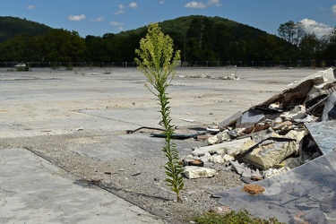 Former Staunton Mall site, September 2023 [41]