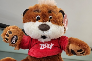 Zeddy bear