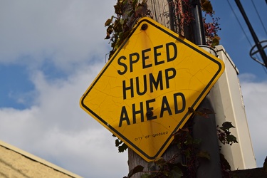 "SPEED HUMP AHEAD" sign [01]