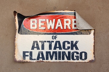 "Beware of attack flamingo" sign