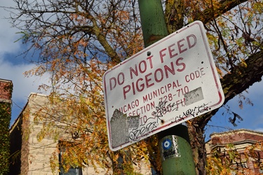 "DO NOT FEED PIGEONS" sign [01]