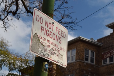 "DO NOT FEED PIGEONS" sign [02]