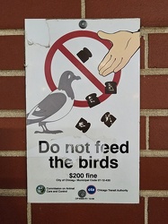 "Do not feed the birds" sign