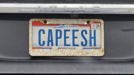 "CAPEESH" license plate