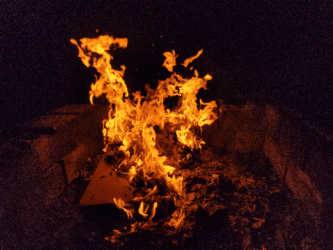 Bonfire in Fort Washington, Maryland [09]