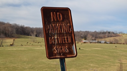 No parking sign at Verona Elementary School [03]