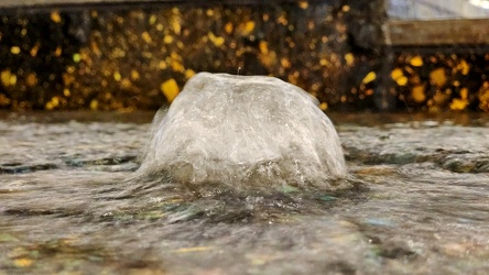 Fountain at King of Prussia