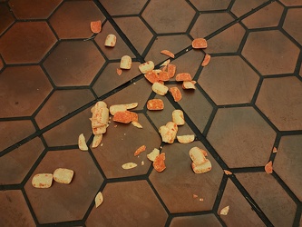 Spilled Pringles