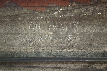 Tunnel graffiti between City Hall and Brooklyn Bridge stations