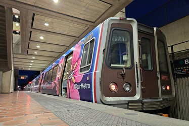 WMATA 2024 cherry blossom train