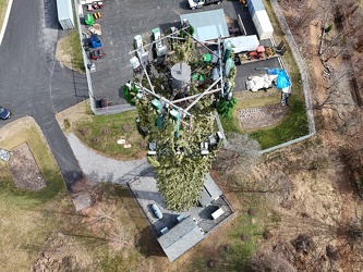 Monopine-style cell tower near National Capital Trolley Museum [02]