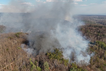 Wildfire in Wheatfield, Virginia [05]