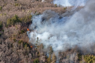 Wildfire in Wheatfield, Virginia [06]