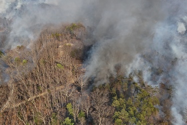 Wildfire in Wheatfield, Virginia [12]