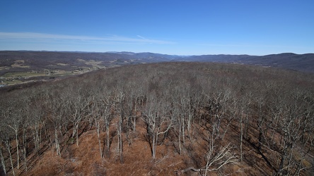 View from Sounding Knob Fire Tower [15]