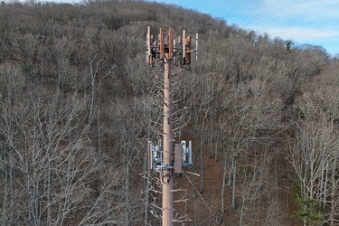 Monopine-style cell tower in Hot Springs, Virginia [01]