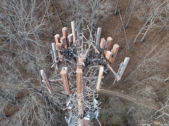 Monopine-style cell tower in Hot Springs, Virginia [02]