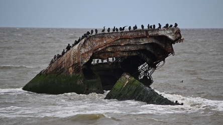 Wreck of the SS Atlantus [02]