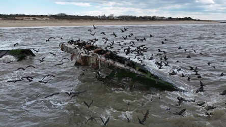 Wreck of the SS Atlantus [04]