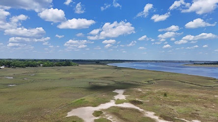 Marshland next to the Ashley River [01]