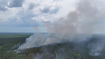 Controlled burn at Awendaw Savanna [01]