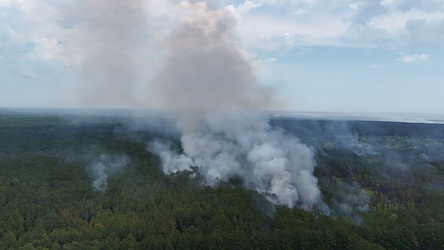 Controlled burn at Awendaw Savanna [02]