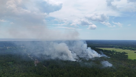 Controlled burn at Awendaw Savanna [03]