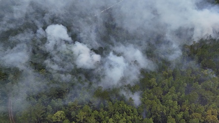 Controlled burn at Awendaw Savanna [04]