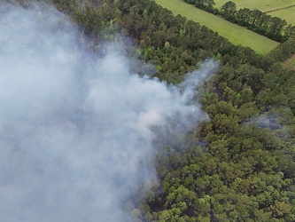 Controlled burn at Awendaw Savanna [05]