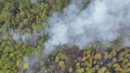 Controlled burn at Awendaw Savanna [06]