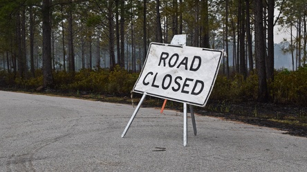 Controlled burn at Awendaw Savanna [16]