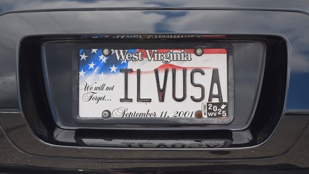 "ILVUSA" license plate