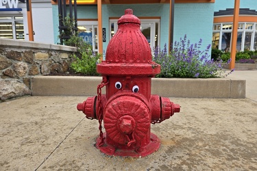 Fire hydrant with googly eyes