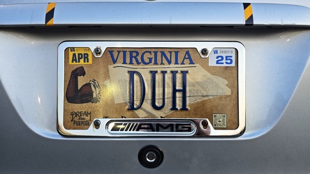 "DUH" license plate