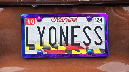 "LYONESS" license plate