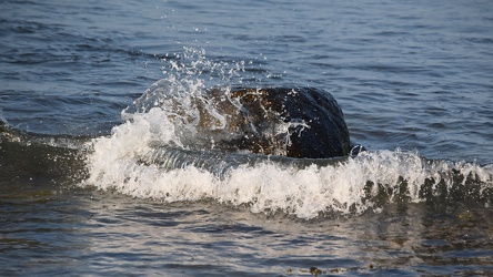 Wave crashing around a boulder at Montauk Point [02]