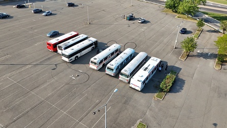 Row of buses in Willingboro, New Jersey [04]